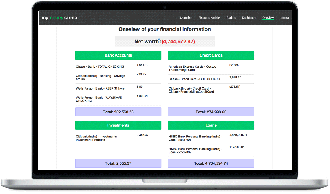 One page view of finances